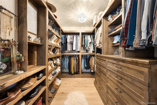 spacious closet featuring light wood-type flooring