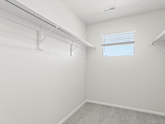 1618 Riverplace Dr Unit 2, Windsor, CO 80550 - walk in closet with carpet