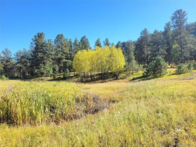 3032-4 County Road 12, Florissant, CO 80816 - photo 1