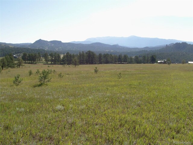 3032-4 County Road 12, Florissant, CO 80816 - photo 2