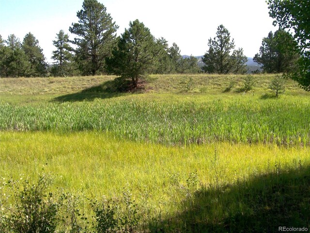 3032-4 County Road 12, Florissant, CO 80816 - photo 3