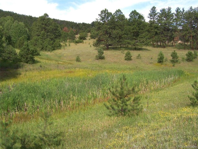 3032-4 County Road 12, Florissant, CO 80816 - photo 4