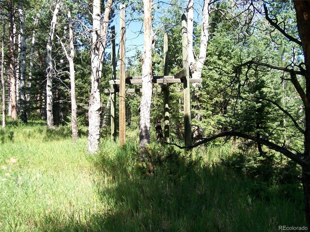 3032-4 County Road 12, Florissant, CO 80816 - photo 5