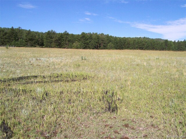 3032-4 County Road 12, Florissant, CO 80816 - photo 6