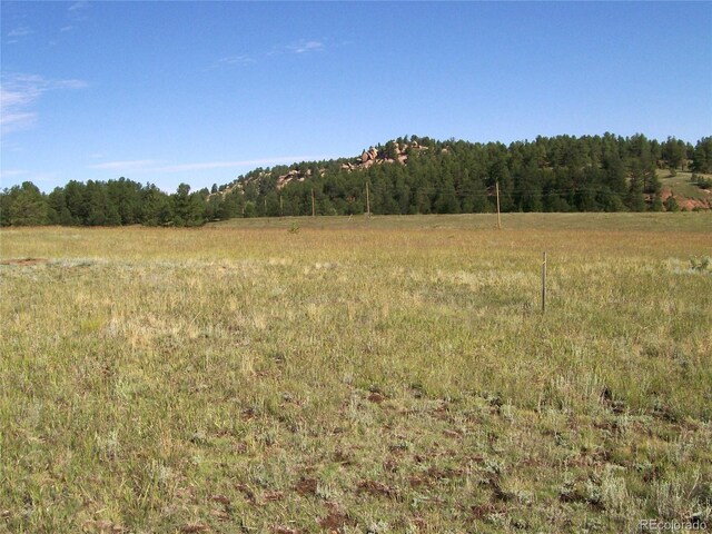 3032-4 County Road 12, Florissant, CO 80816 - photo 7
