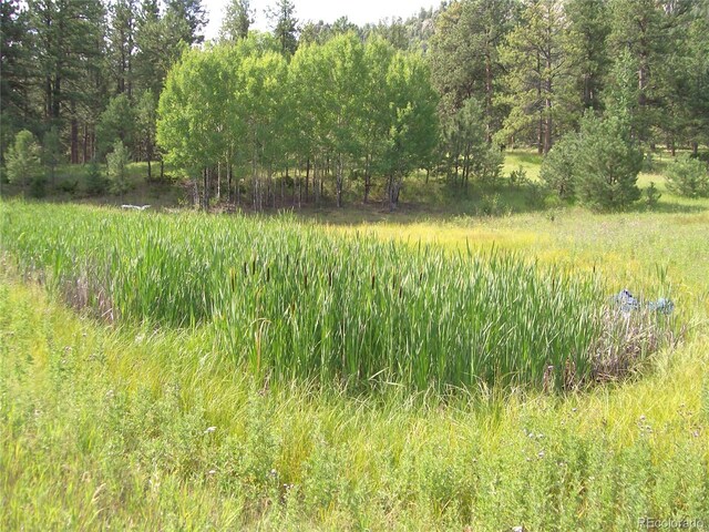 3032-4 County Road 12, Florissant, CO 80816 - photo 8