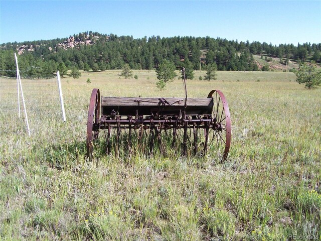 3032-4 County Road 12, Florissant, CO 80816 - photo 9