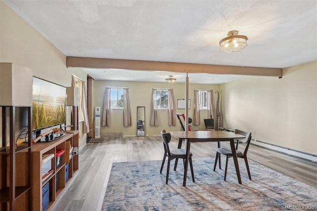 dining area with hardwood / wood-style floors