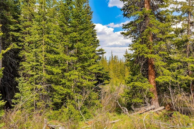 632 El Lobo Ln, Fairplay, CO 80440