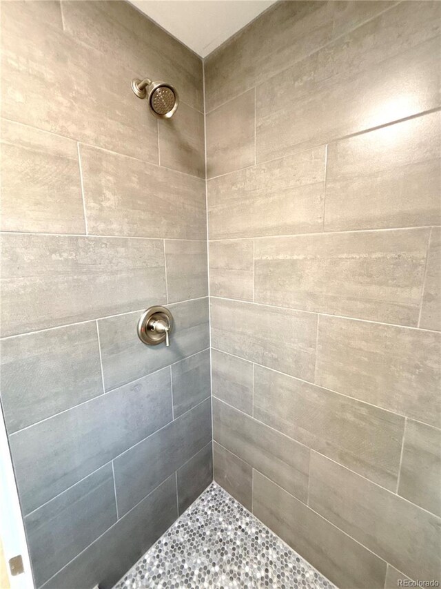 7339 S Kit Carson St, Littleton, CO 80122 - photo 13