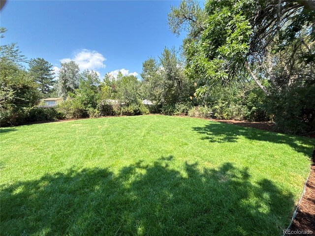 7339 S Kit Carson St, Littleton, CO 80122 - photo 27
