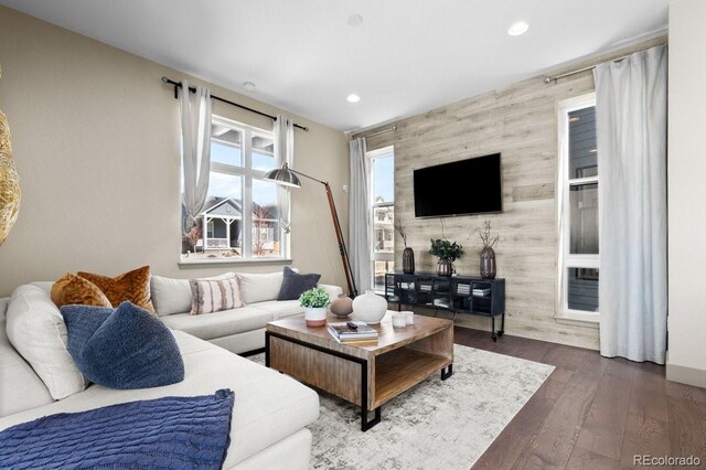 living room with dark hardwood / wood-style floors