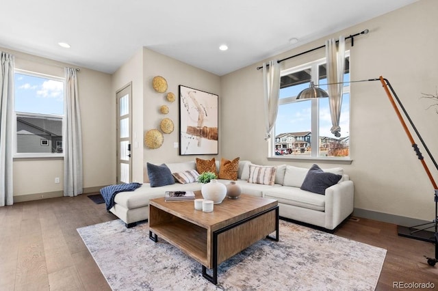 living room featuring hardwood / wood-style floors