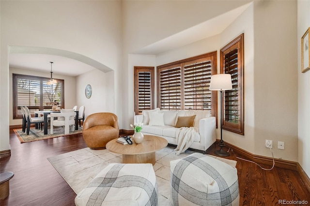 17522 E Dewberry Dr, Parker, CO 80134 - living area with arched walkways, baseboards, and wood finished floors