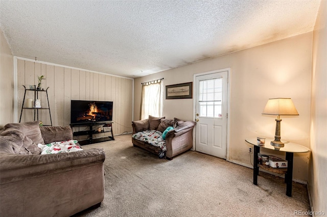 living room featuring a textured ceiling and carpet floors