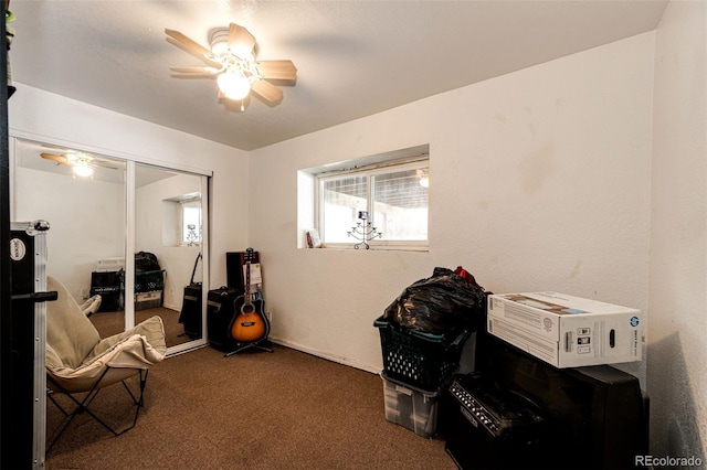 carpeted office space featuring ceiling fan