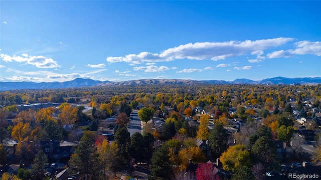 1233 S Flower Cir Unit A, Lakewood, CO 80232 - photo 21