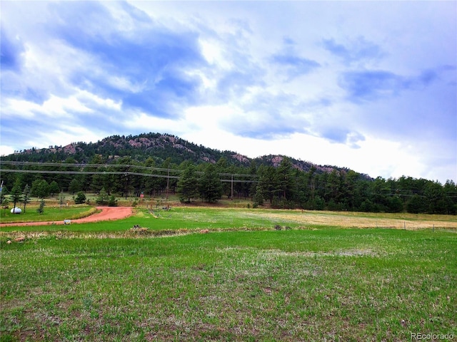 45 Saltlick Cir, Florissant, CO 80816 - property view of mountains with a rural view and a wooded view