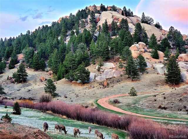 45 Saltlick Cir, Florissant, CO 80816 - property view of mountains