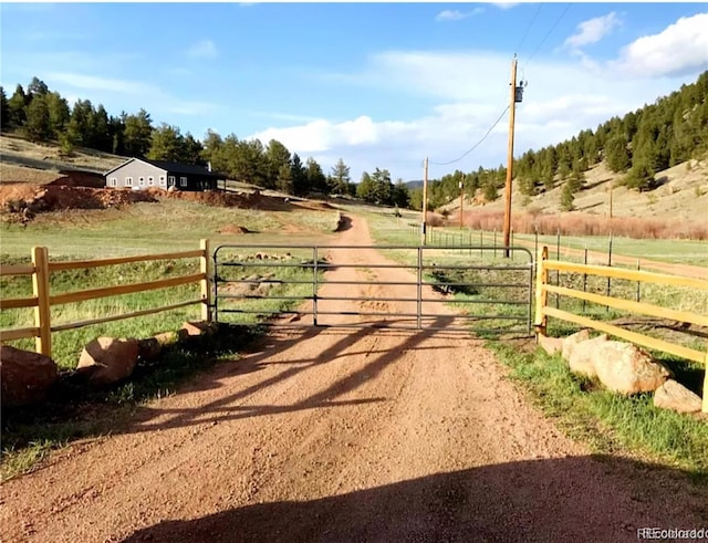 45 Saltlick Cir, Florissant, CO 80816 - view of street featuring a gate, a gated entry, a rural view, and dirt driveway