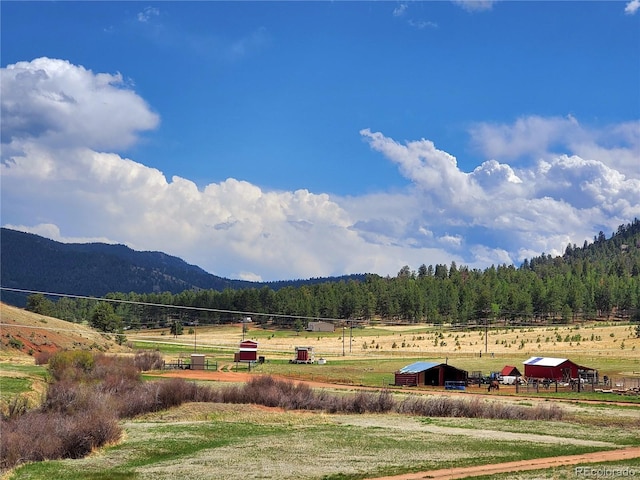 45 Saltlick Cir, Florissant, CO 80816 - mountain view with a rural view and a forest view