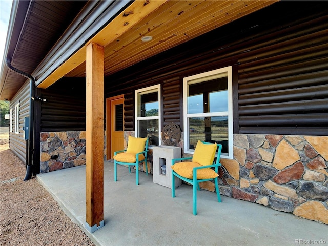 45 Saltlick Cir, Florissant, CO 80816 - view of patio