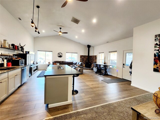 45 Saltlick Cir, Florissant, CO 80816 - kitchen with ceiling fan, open floor plan, stainless steel appliances, and visible vents