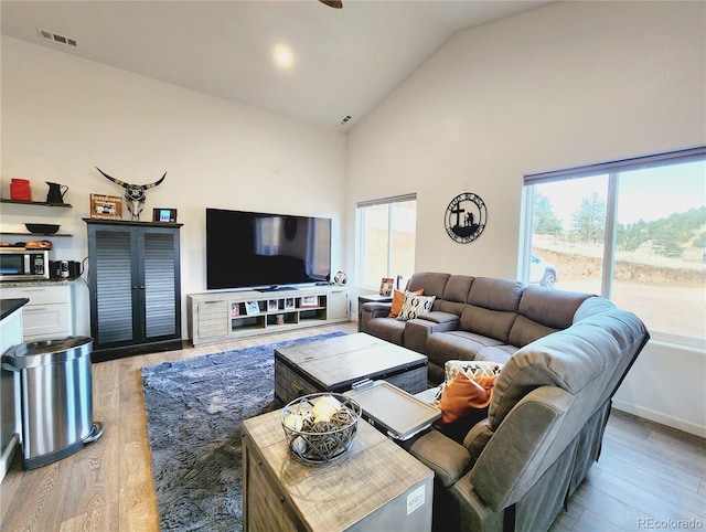 45 Saltlick Cir, Florissant, CO 80816 - living room featuring light wood-type flooring, visible vents, and high vaulted ceiling