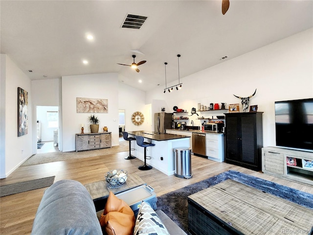 45 Saltlick Cir, Florissant, CO 80816 - living room with vaulted ceiling, visible vents, ceiling fan, and light wood-style flooring