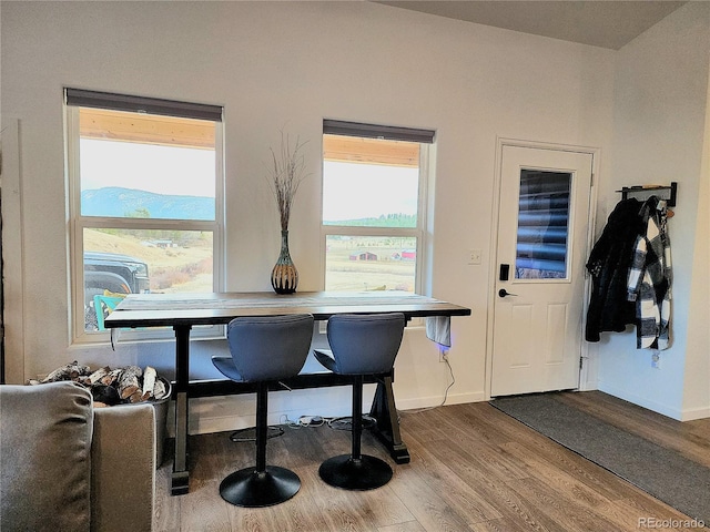 45 Saltlick Cir, Florissant, CO 80816 - interior space featuring baseboards and wood finished floors
