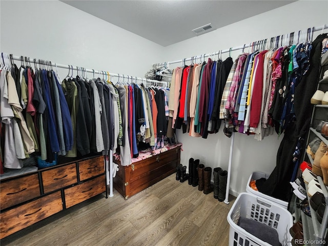 45 Saltlick Cir, Florissant, CO 80816 - spacious closet featuring wood finished floors and visible vents