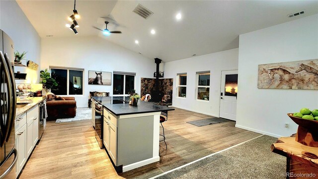 45 Saltlick Cir, Florissant, CO 80816 - photo 14