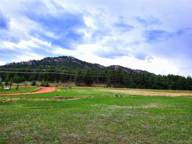45 Saltlick Cir, Florissant, CO 80816 - photo 42