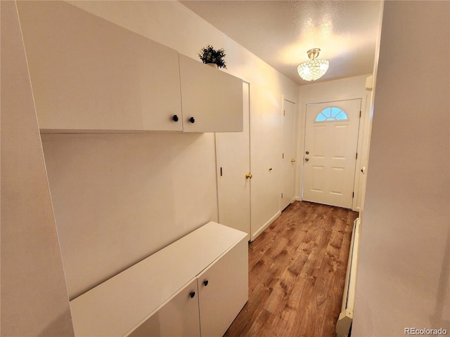 154 Fawn Ct, Silverthorne, CO 80443 - mudroom featuring light wood finished floors