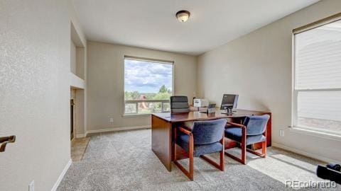 carpeted home office with a wealth of natural light