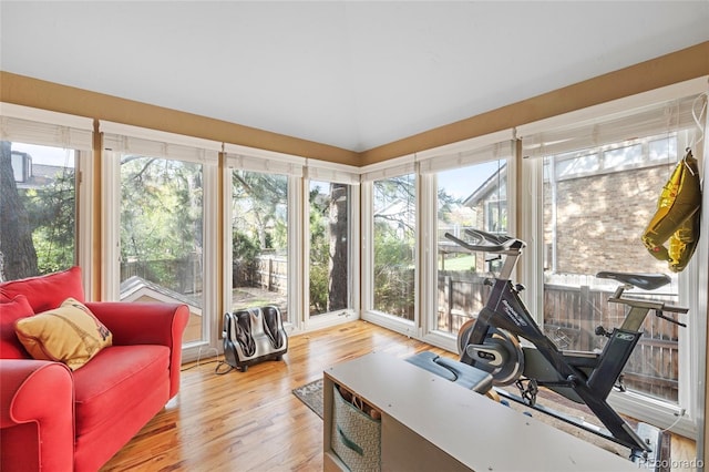 sunroom with a healthy amount of sunlight