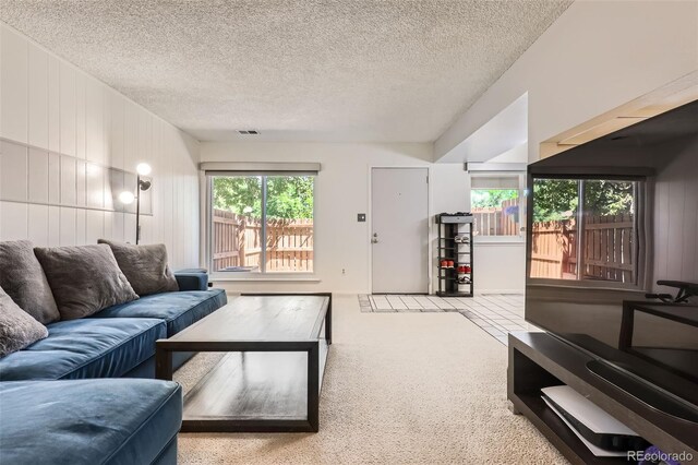 2896 W 119th Ave, Westminster, CO 80234 - carpeted living area with a textured ceiling