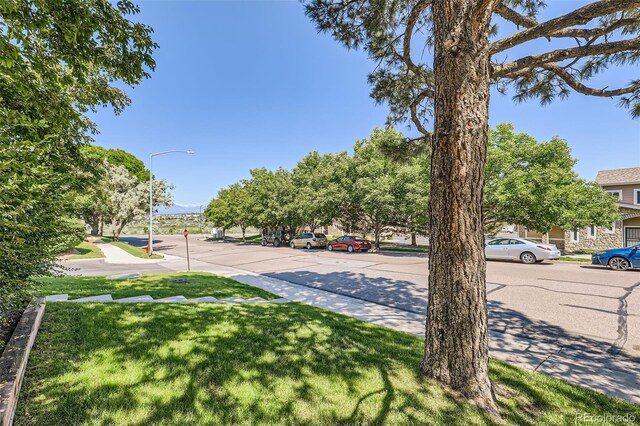 2896 W 119th Ave, Westminster, CO 80234 - view of asphalt street with street lights, sidewalks, and curbs