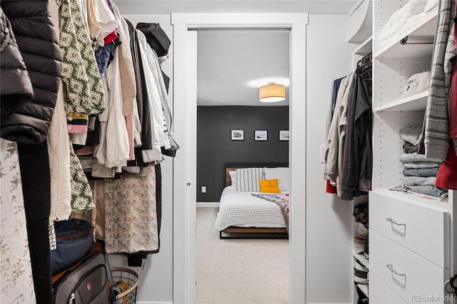 4401 Vrain St, Denver, CO 80212 - walk in closet with carpet flooring
