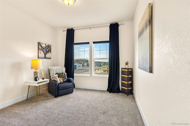 living area featuring carpet floors