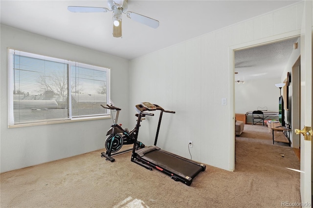 exercise area featuring carpet floors and a ceiling fan