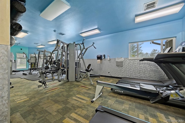 23551 Genesee Village Rd Unit H, Golden, CO 80401 - gym featuring carpet flooring