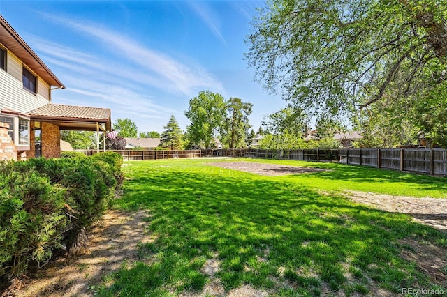 1354 S Macon St, Aurora, CO 80012 - view of yard