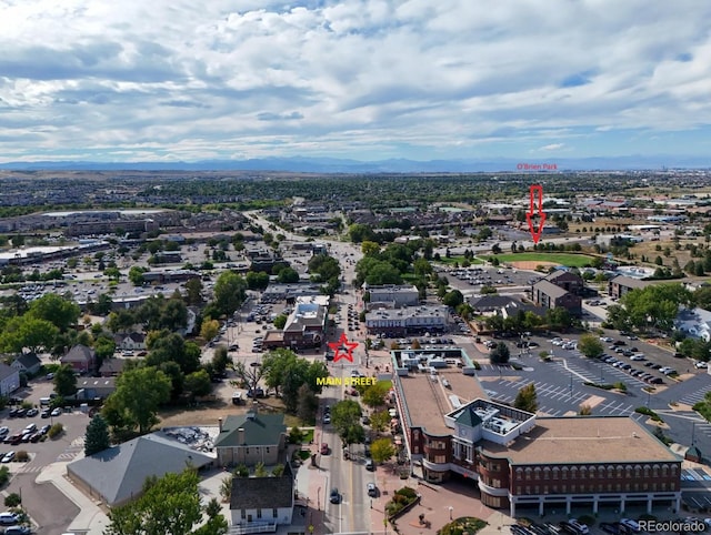 bird's eye view