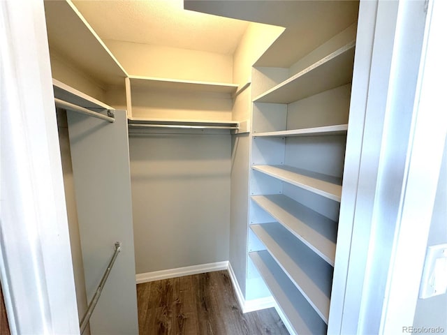2973 Mesa Rd Unit C, Colorado Springs, CO 80904 - walk in closet featuring wood finished floors