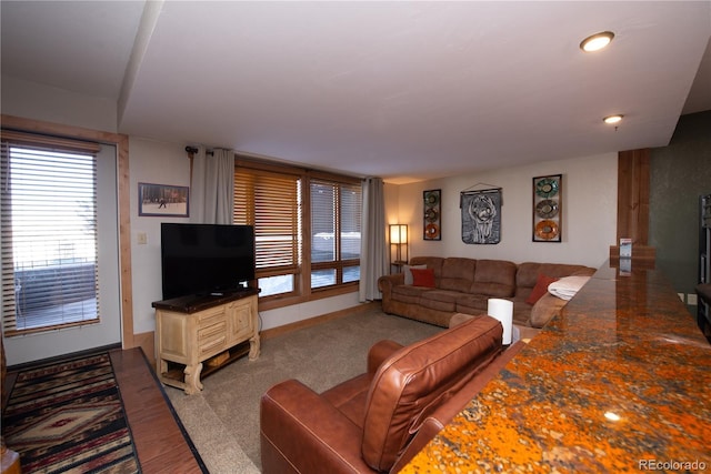 living room with wood-type flooring and plenty of natural light