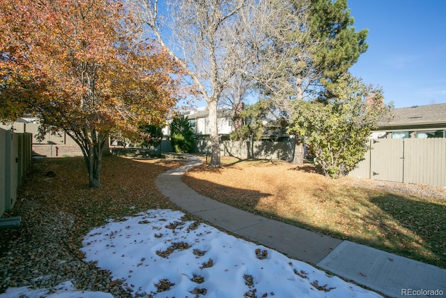 view of yard layered in snow