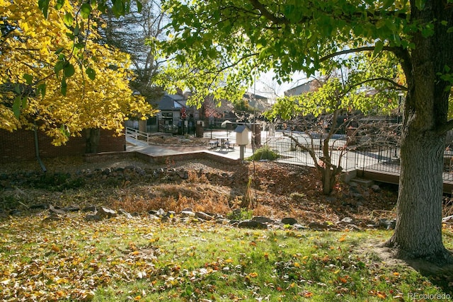 view of yard with a patio area