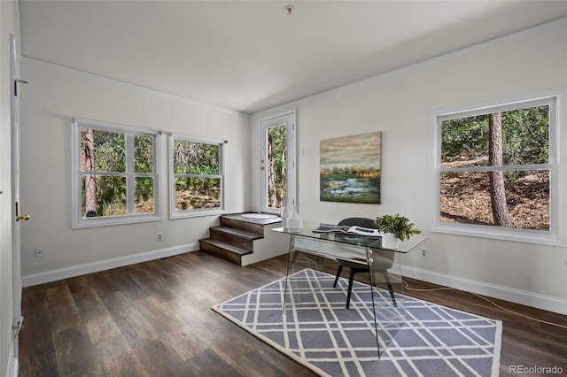 4219 Morning Star Dr, Castle Rock, CO 80108 - office space with healthy amount of natural light, wood finished floors, and ornamental molding