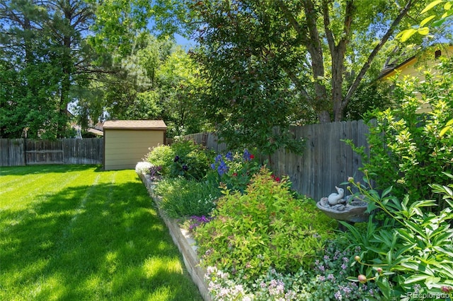 6240 W 110th Pl, Westminster, CO 80020 - fenced backyard with a shed